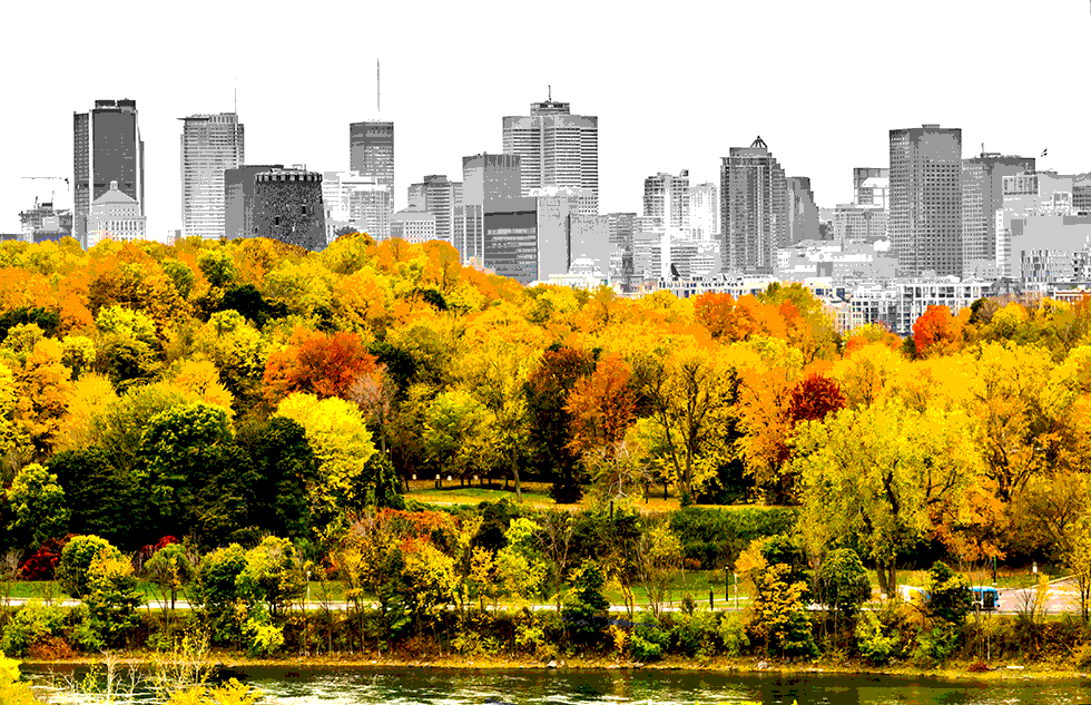 Montreal background